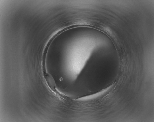 X0000058101331200509301824