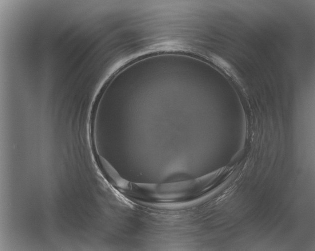 X0000058101334200509301824