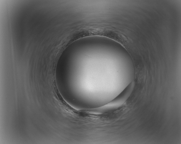 X0000058101345200509301824