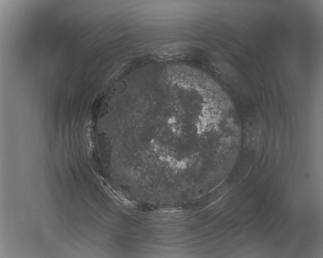 X0000058101346200509301824