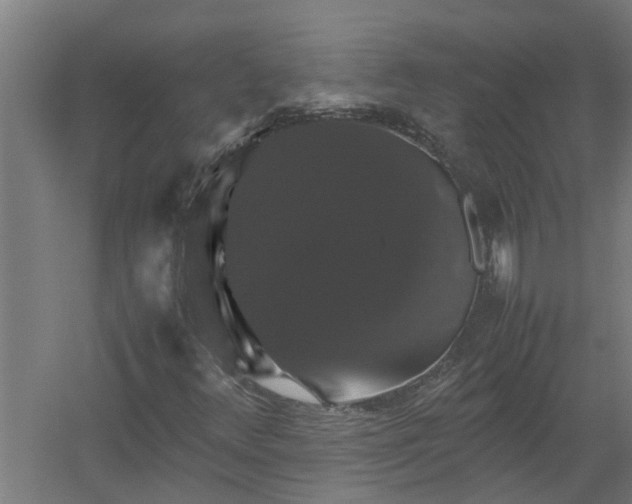 X0000058101348200509301824