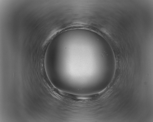 X0000058101355200509301824