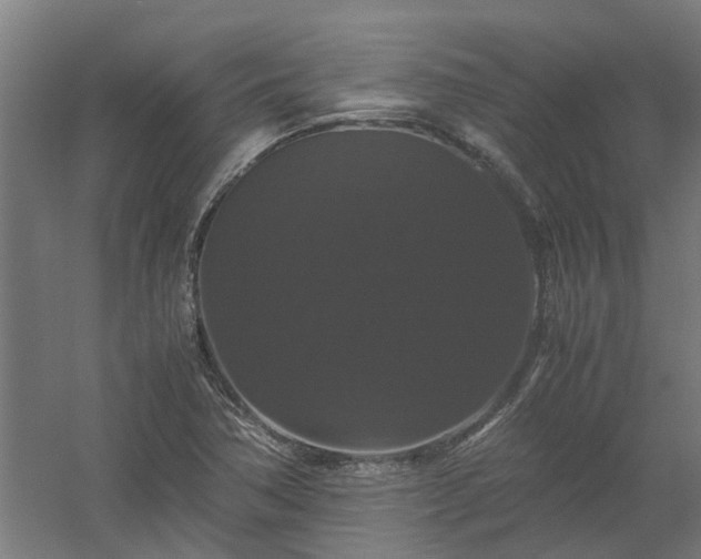 X0000058101362200509301823