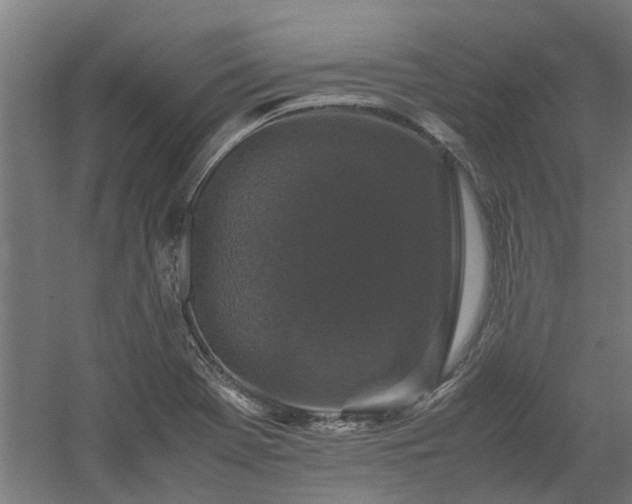X0000058101369200509301823
