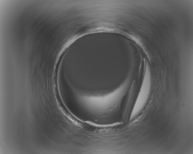 X0000058101373200509301823