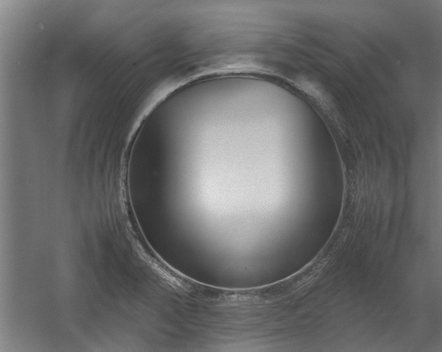 X0000058101374200509301823
