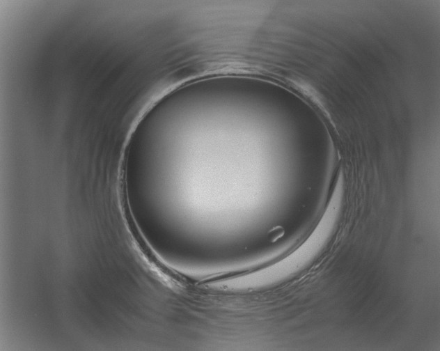 X0000058101379200509301823