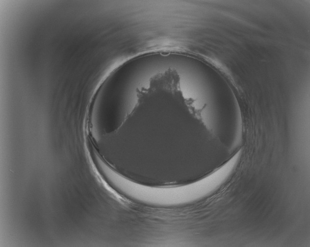 X0000058101383200509301823