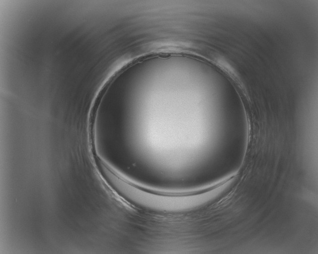 X0000058101384200509301823