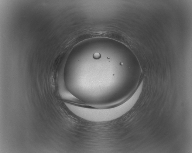 X0000058101394200509301822