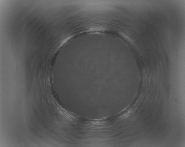 X0000058101401200509301822