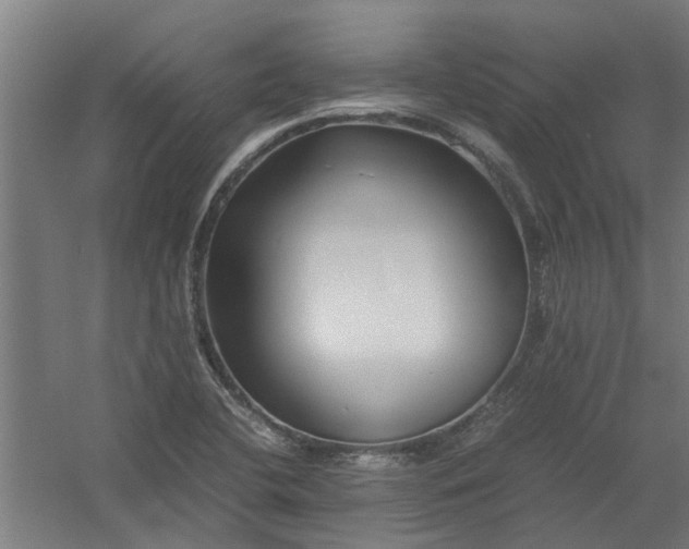 X0000058101412200509301822