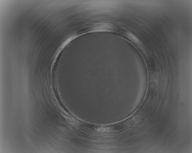 X0000058101419200509301823