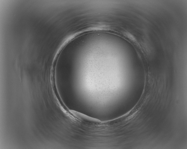 X0000058101421200509301823