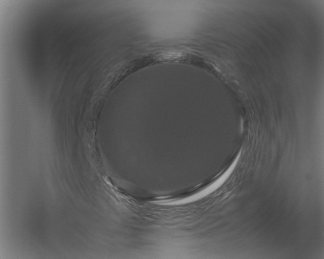 X0000058101441200509301822