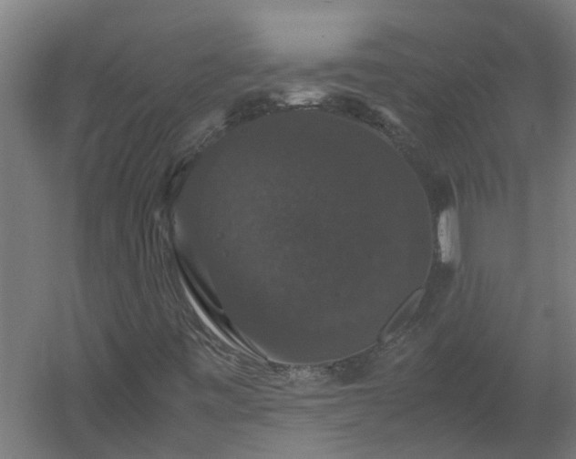 X0000058101443200509301822