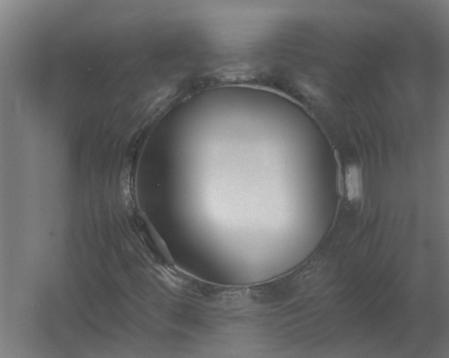 X0000058101444200509301822
