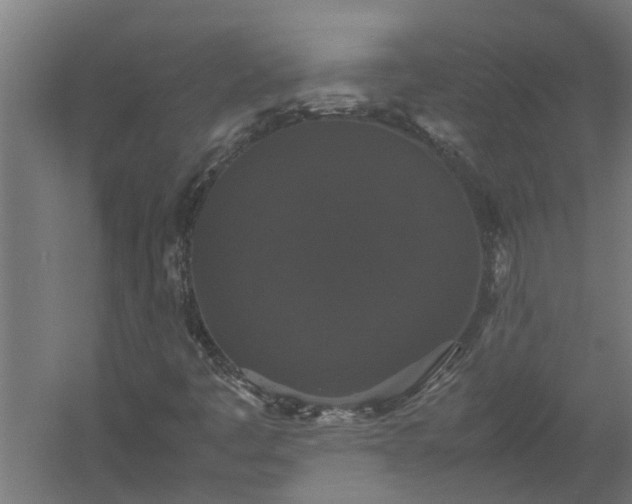 X0000058101445200509301822
