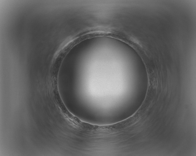 X0000058101448200509301822