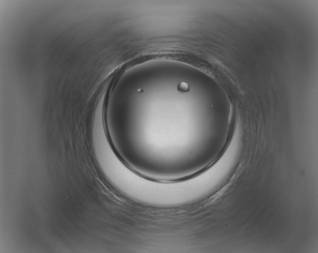 X0000058101449200509301822