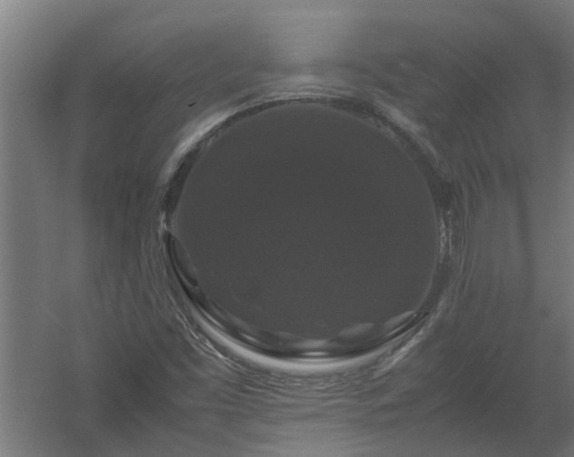 X0000058101453200509301822