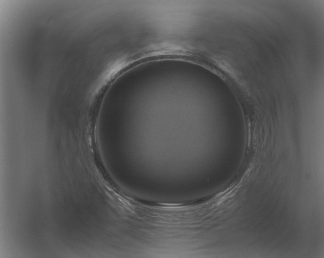 X0000058101455200509301822