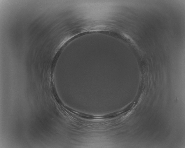 X0000058101457200509301822