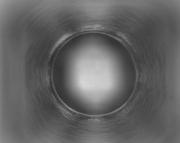 X0000058101458200509301822