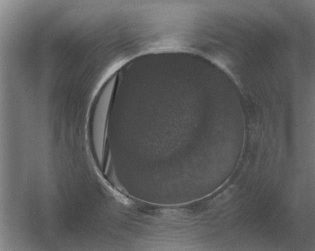 X0000058101469200509301822