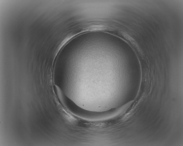 X0000058101473200509301822
