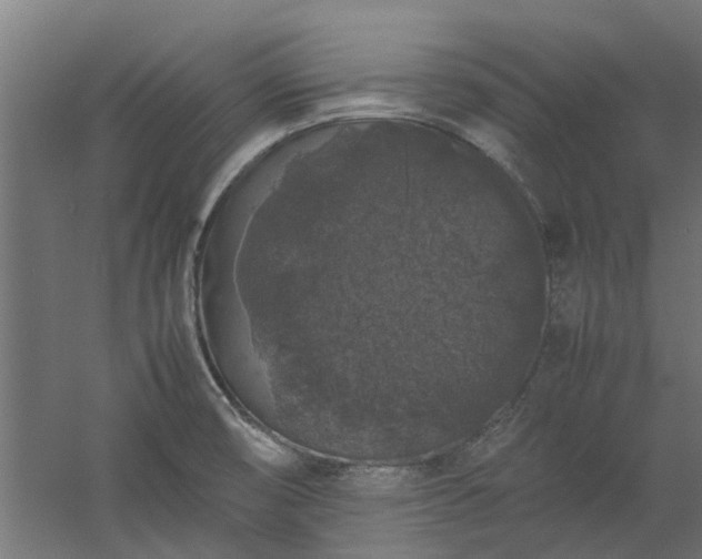 X0000058101474200509301822