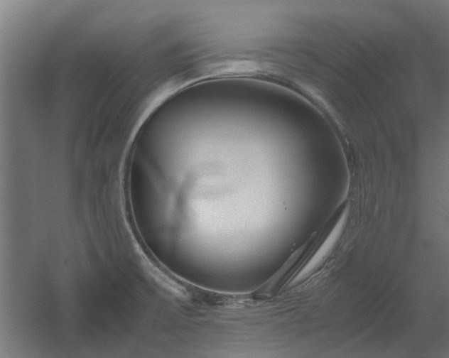 X0000058101475200509301822
