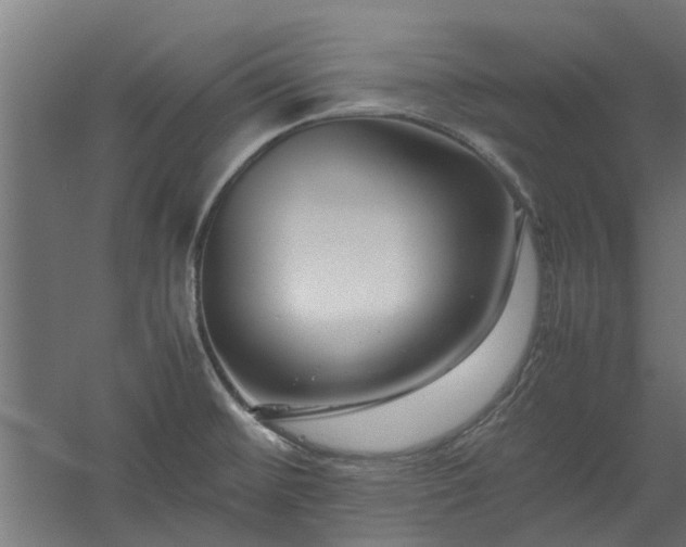 X0000058101476200509301822