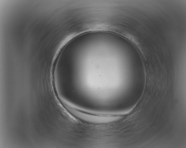 X0000058101480200509301821