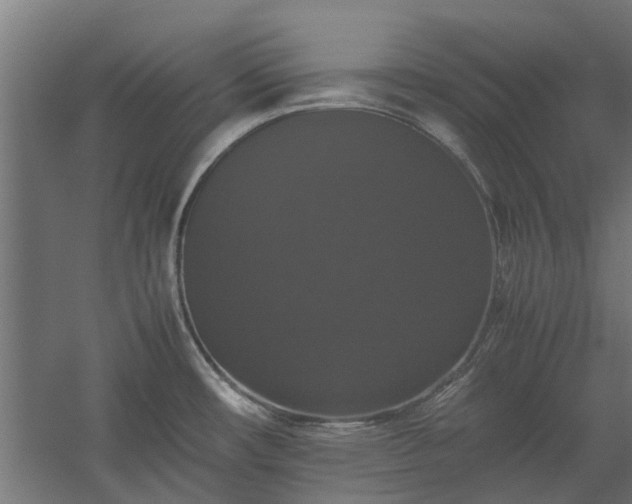 X0000058101482200509301821