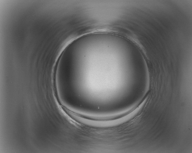X0000058101483200509301821