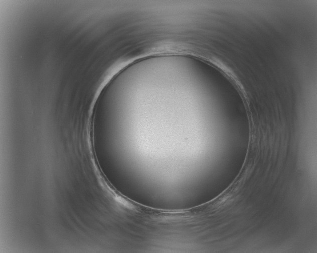 X0000058101486200509301821