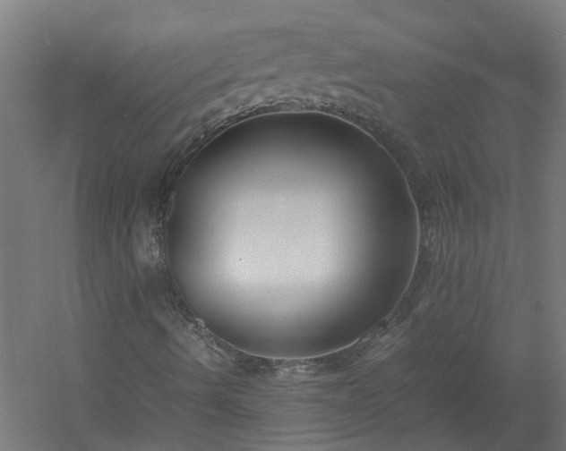 X0000058101490200509301821