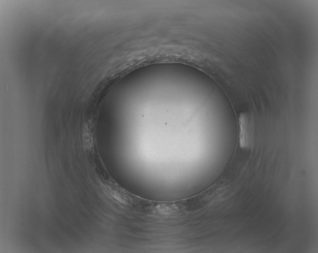 X0000058101491200509301821