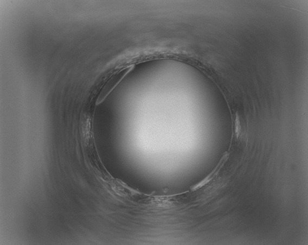 X0000058101492200509301821