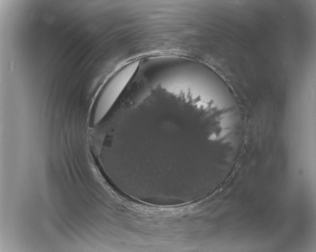 X0000058100002200510071859