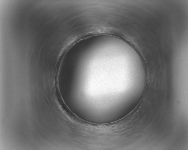 X0000058100010200510071859