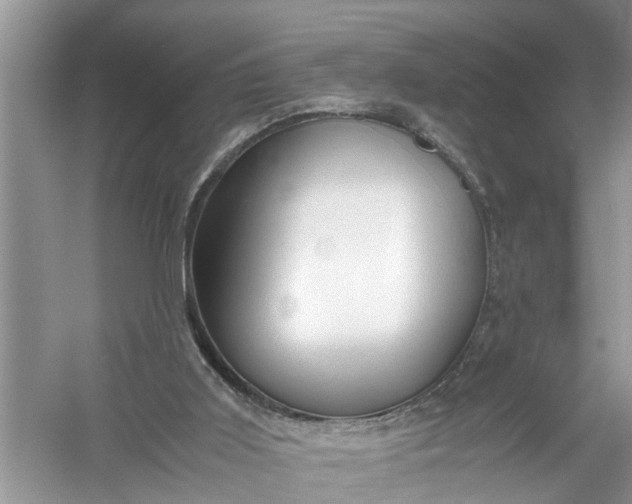 X0000058100011200510071859