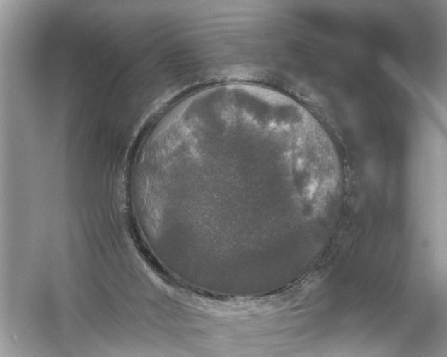 X0000058100012200510071859