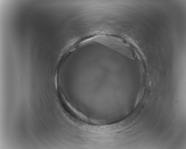 X0000058100019200510071859