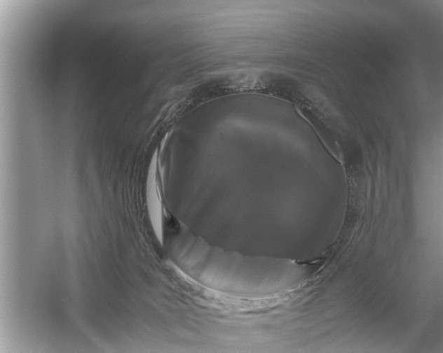 X0000058100035200510071858