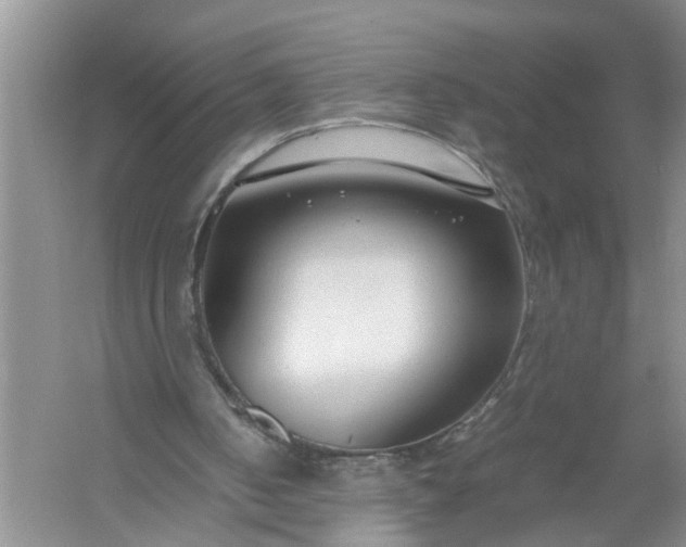 X0000058100050200510071857