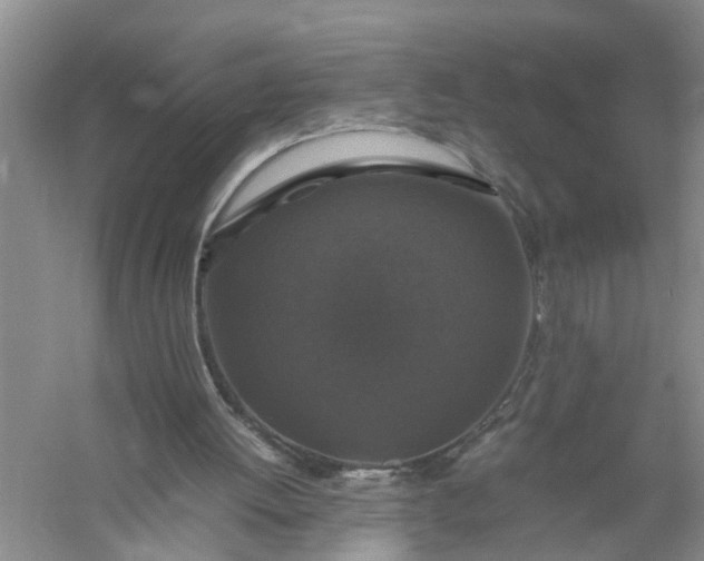 X0000058100052200510071857