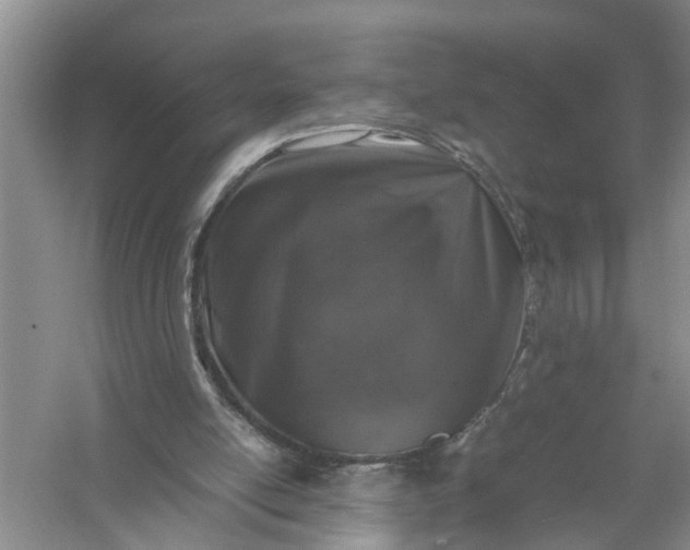 X0000058100054200510071857