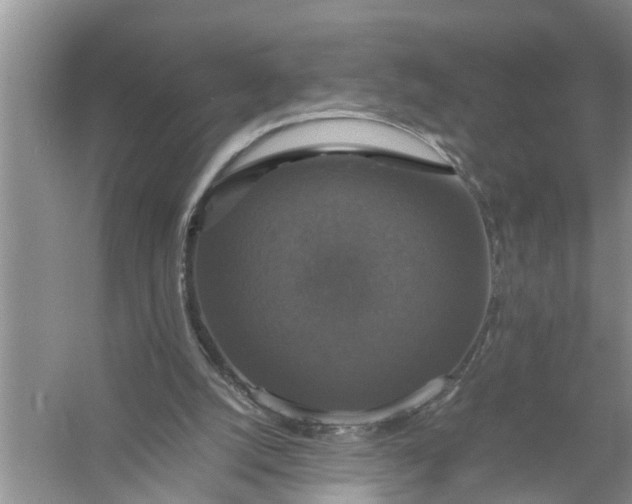 X0000058100056200510071857